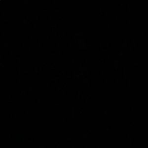 Meet your Posher, Timothy